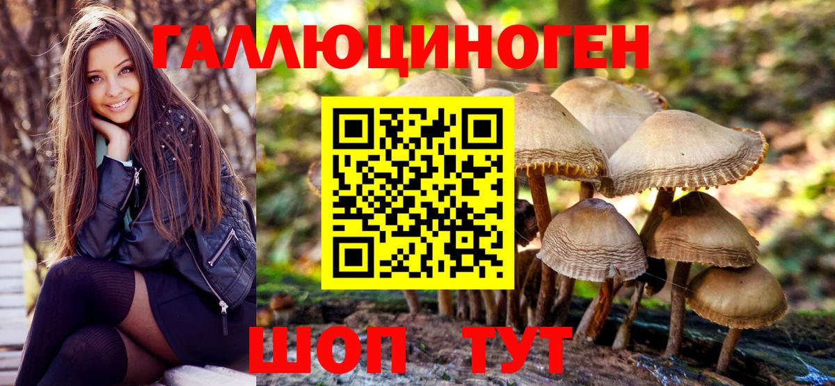 Галлюциногенные грибы прущие грибы  Вход с VPN  закладка  Мурино 